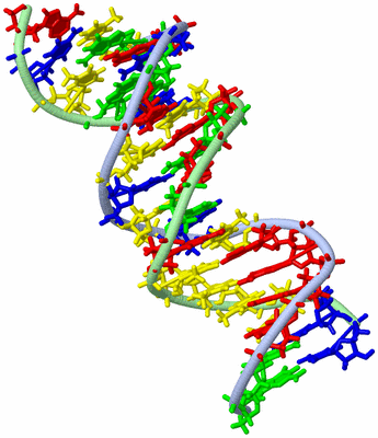 Image NMR Structure - model 1