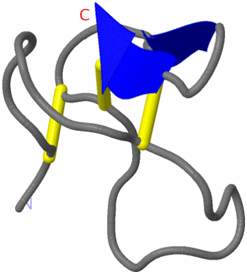 Image NMR Structure - model 1