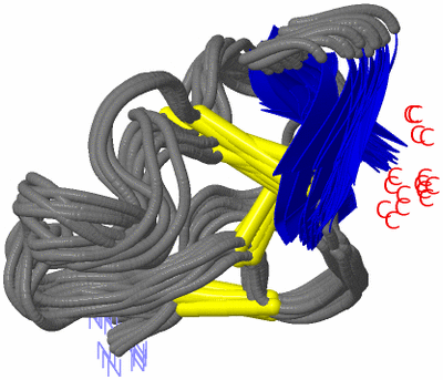 Image NMR Structure - all models