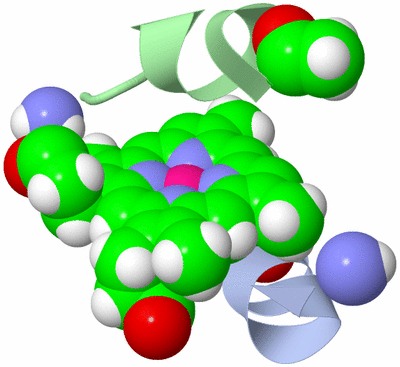 Image NMR Structure - model 1