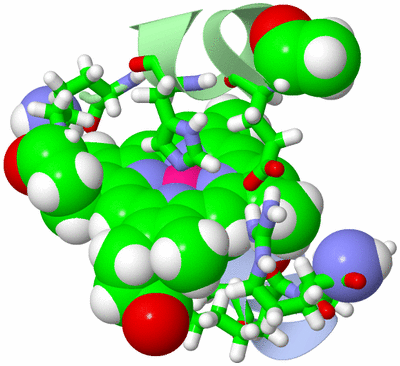 Image NMR Structure - model 1, sites