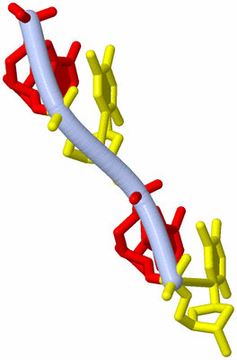 Image Asymmetric Unit