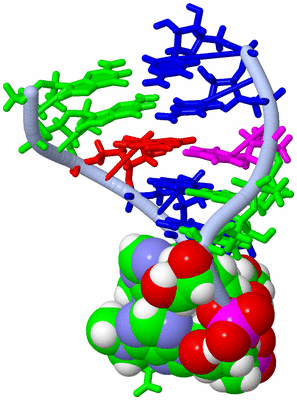 Image NMR Structure - model 1