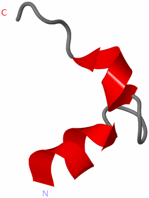 Image NMR Structure - model 1