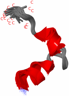 Image NMR Structure - all models