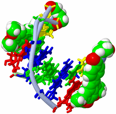 Image NMR Structure - all models