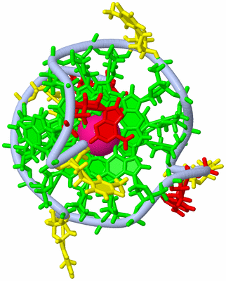 Image NMR Structure - model 1