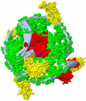 Image NMR Structure - all models