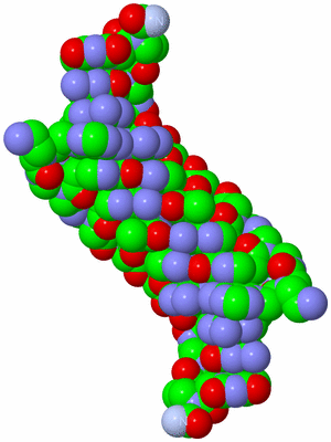 Image Biological Unit 1