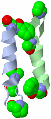 Image Asymmetric Unit