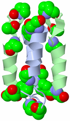 Image Biological Unit 1