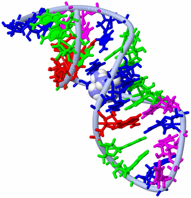 Image NMR Structure - model 1