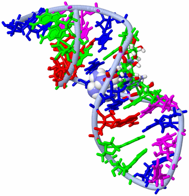 Image NMR Structure - model 1, sites