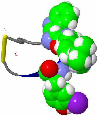 Image NMR Structure - model 1