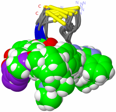 Image NMR Structure - all models