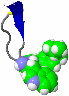 Image NMR Structure - model 1