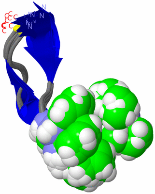 Image NMR Structure - all models