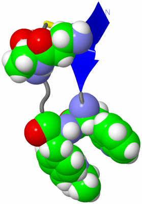 Image NMR Structure - model 1