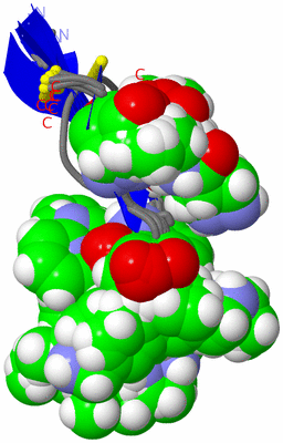 Image NMR Structure - all models