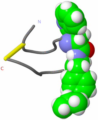 Image NMR Structure - model 1