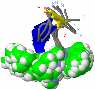 Image NMR Structure - all models