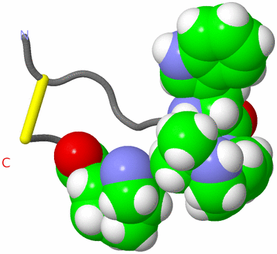 Image NMR Structure - model 1