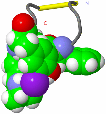 Image NMR Structure - model 1