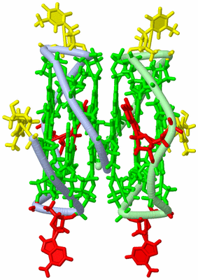 Image NMR Structure - model 1