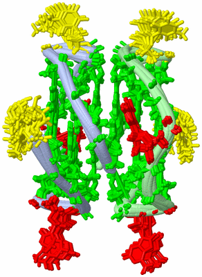 Image NMR Structure - all models