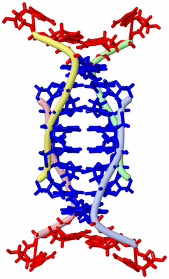 Image NMR Structure - model 1