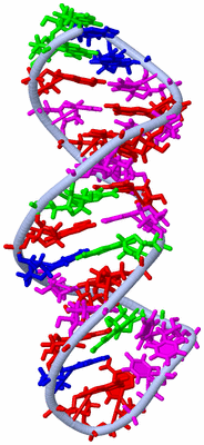 Image NMR Structure - model 1