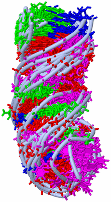 Image NMR Structure - all models