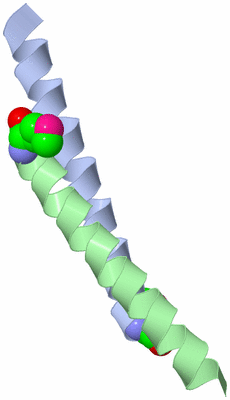 Image Asymmetric Unit