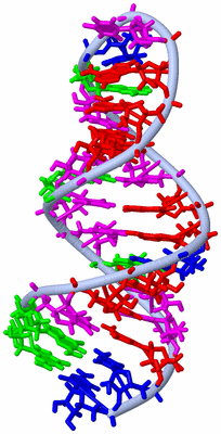 Image NMR Structure - model 1