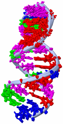 Image NMR Structure - all models