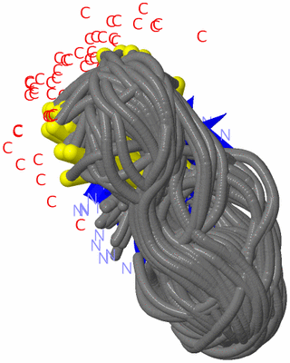 Image NMR Structure - all models