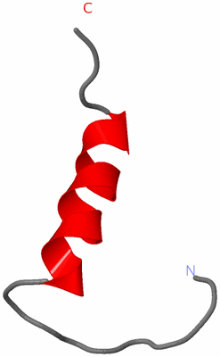 Image NMR Structure - model 1