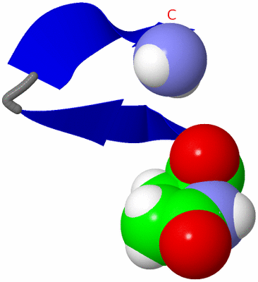 Image NMR Structure - model 1