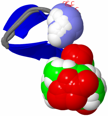 Image NMR Structure - all models