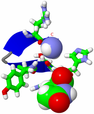 Image NMR Structure - model 1, sites