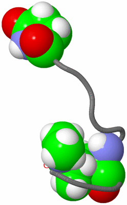 Image NMR Structure - model 1