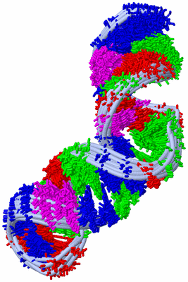 Image NMR Structure - all models