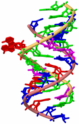 Image Biological Unit 4