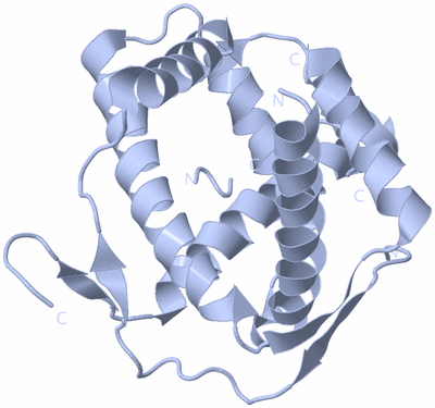 Image Biological Unit 1