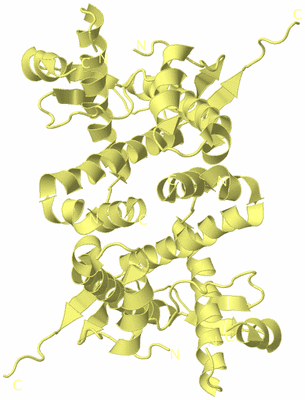 Image Biological Unit 10