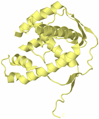 Image Biological Unit 4