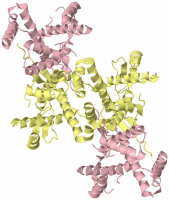 Image Biological Unit 5