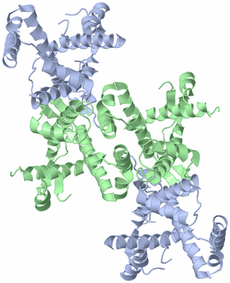 Image Biological Unit 6