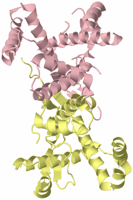 Image Biological Unit 7