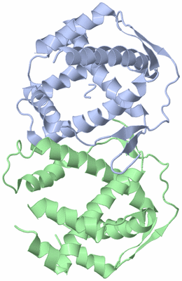 Image Biological Unit 8